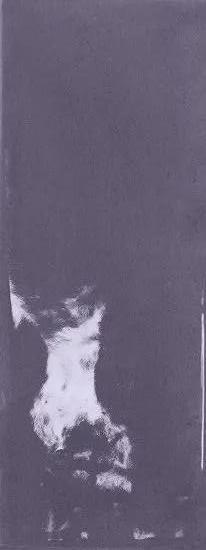 Ergon Abacus Brick Lux 7,5x20 cm Lavanda