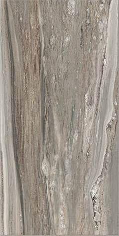 Étoile de Rex 40x80 cm Étoile tropical glossy