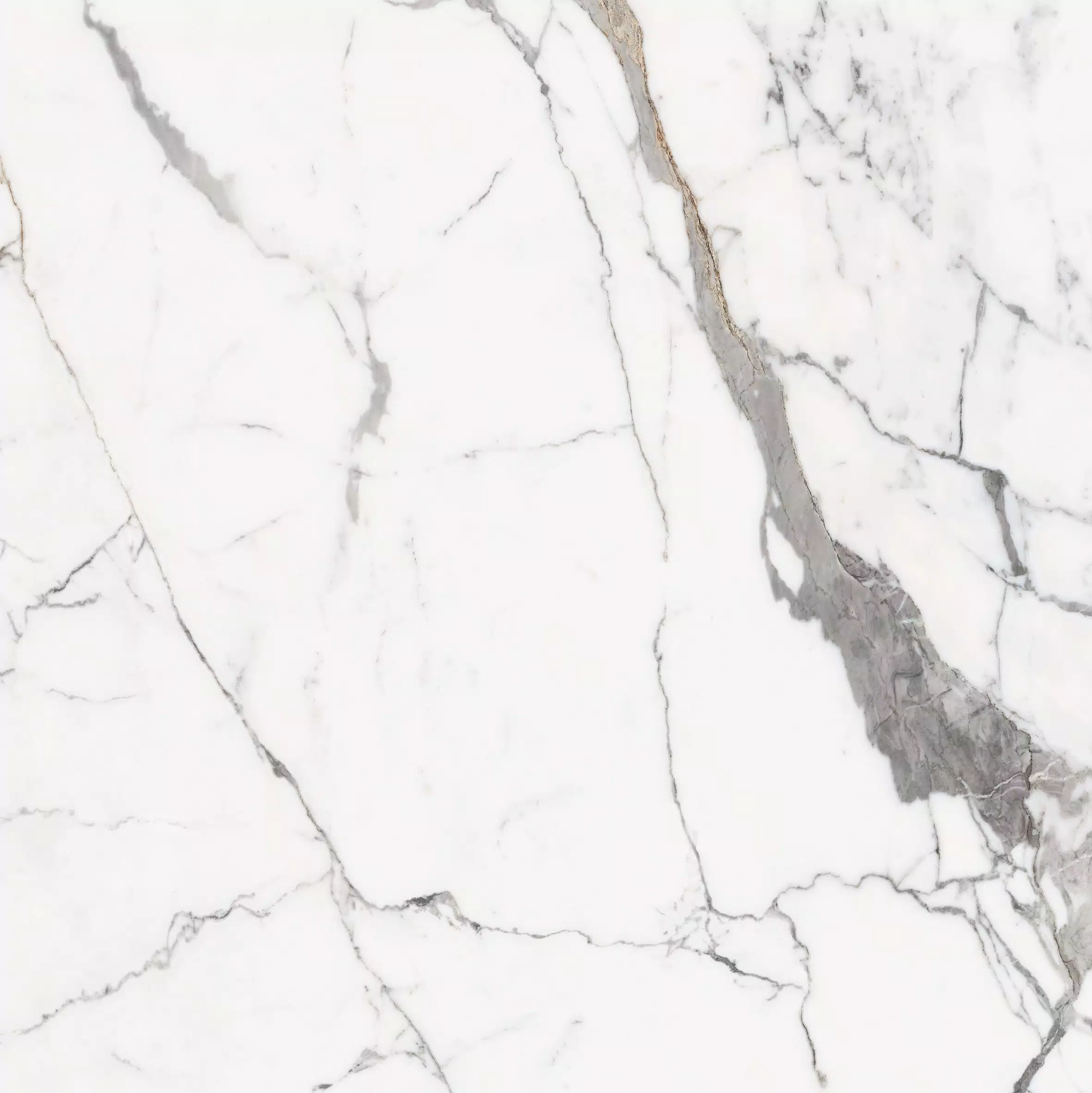 Florim Les Origines Origines Or Glossy 120x120x0,6 cm Feinsteinzeug Magnum