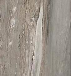 Étoile de Rex 80x80 cm Étoile tropical glossy