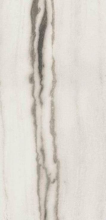 Prexious of Rex 30x60 cm White Fantasy glossy