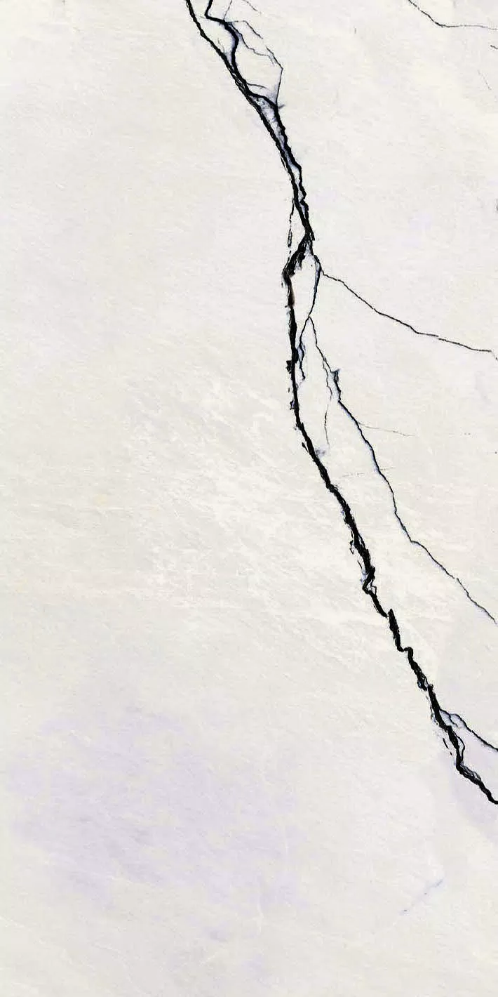 Florim B&W_Marble Breach Glossy 30x60x0,9 cm Feinsteinzeug  