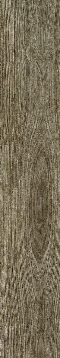 Emil Dimore 20x120 cm Tabacco rektifiziert