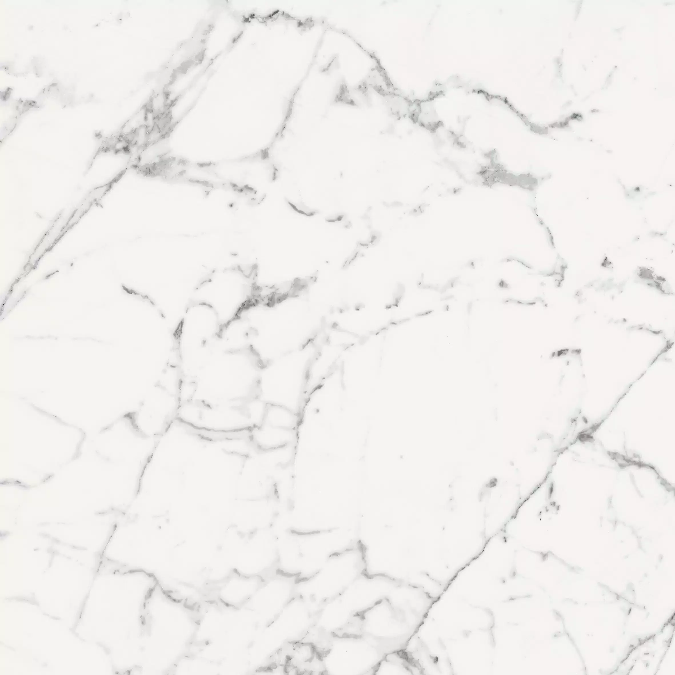Florim Les Origines Origines Blanc Glossy 120x120x0,6 cm Feinsteinzeug Magnum