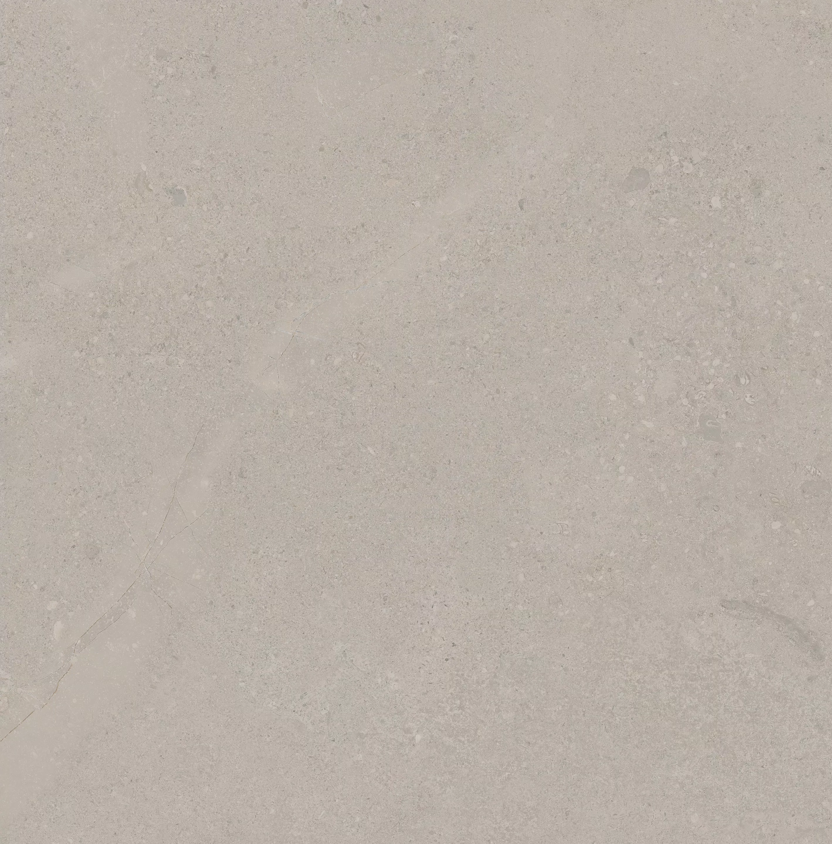 Florim Elemental Stone Grey Limestone Matte 120x120x0,9 cm Feinsteinzeug R10 