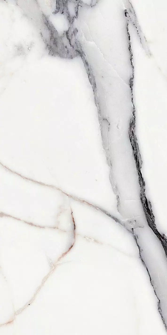 Florim Les Origines Origines Argent 60x120x0,6 cm Feinsteinzeug Matte Magnum