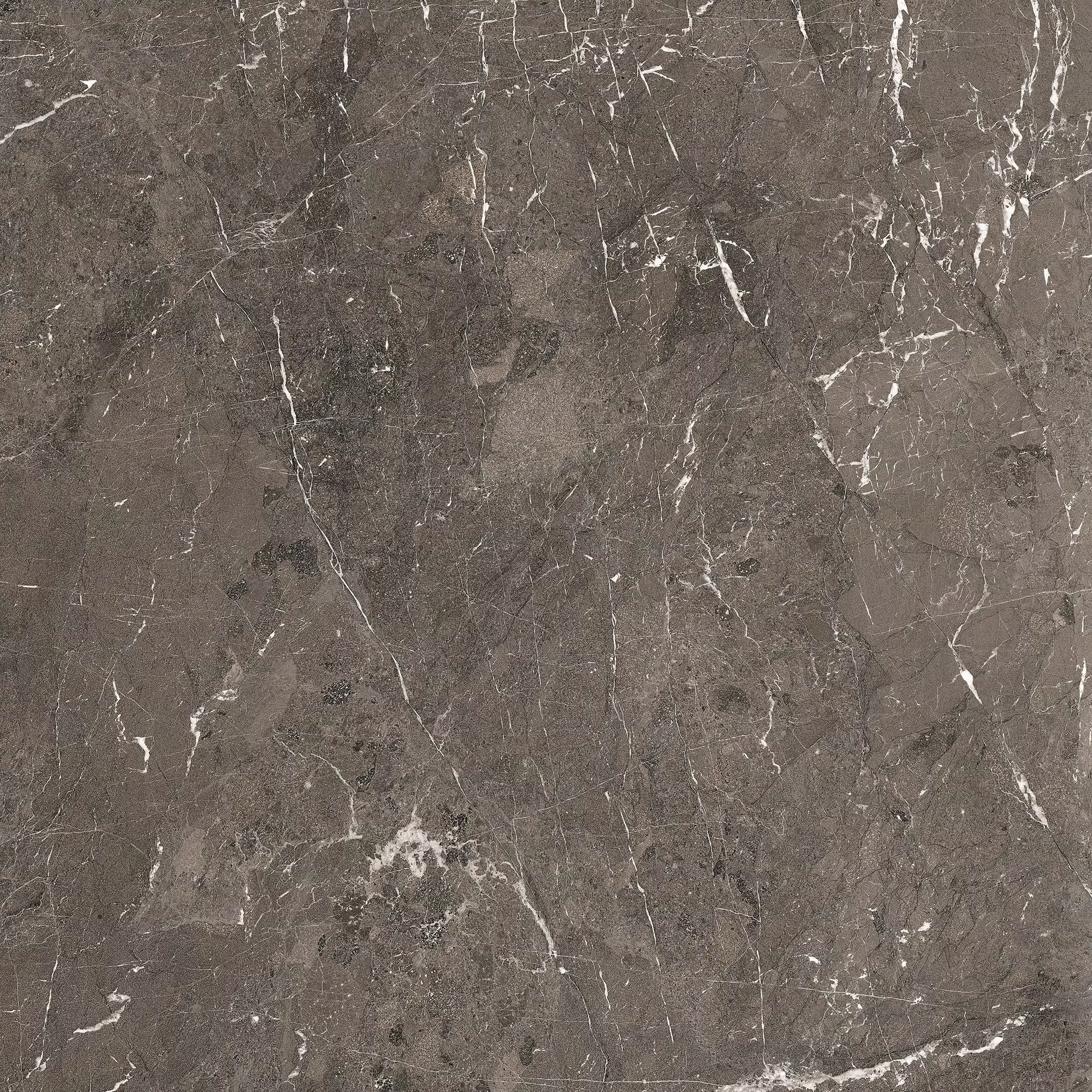 Florim Heritage Luxe Heritage Brown Glossy 120x120x0,6 cm Feinsteinzeug Magnum
