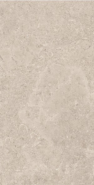 Emil MaPierre Gris Ancienne 20x40 cm Feinsteinzeug naturale