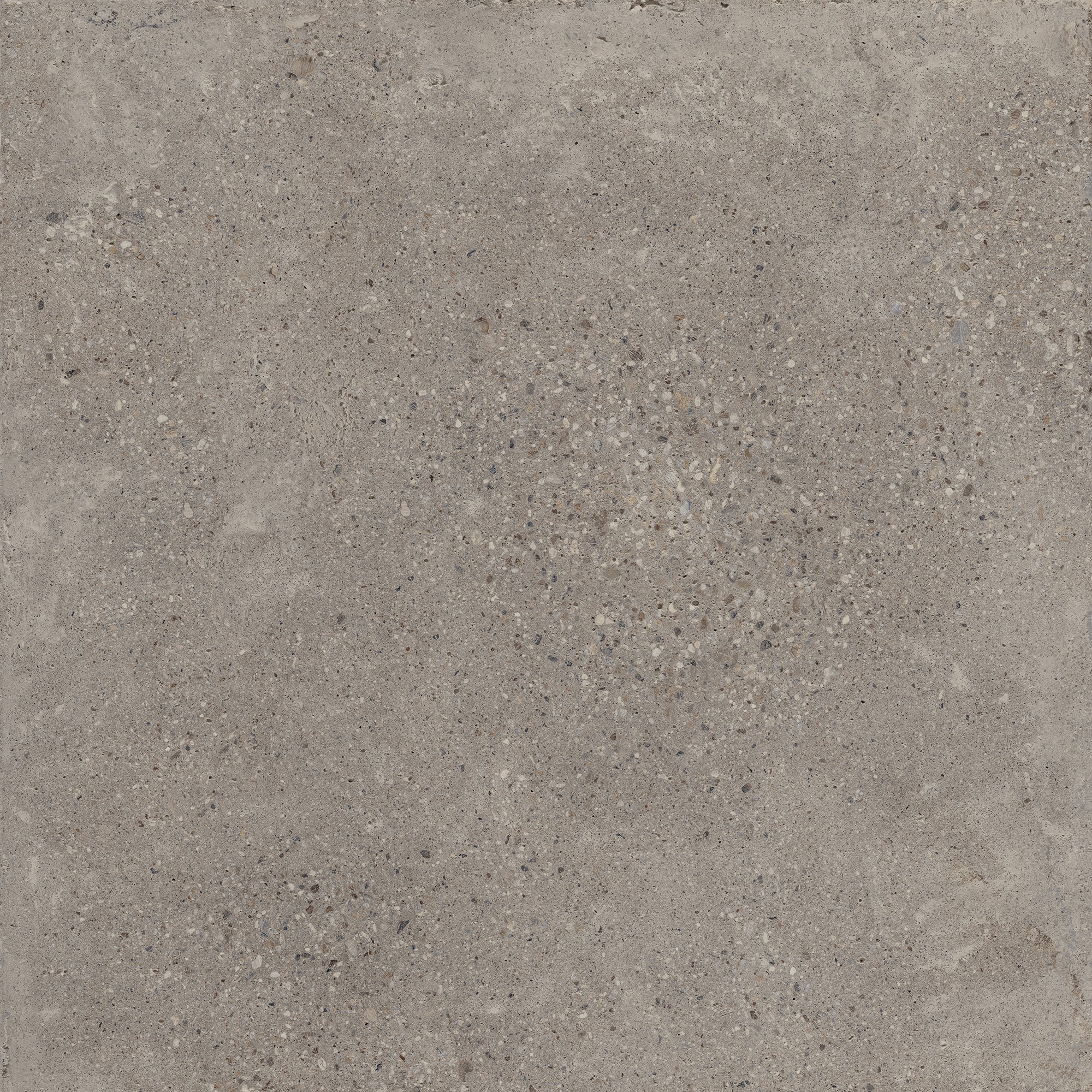 Castelvetro Konkrete Cenere 100x100 cm Feinsteinzeug Zementoptik R10B        