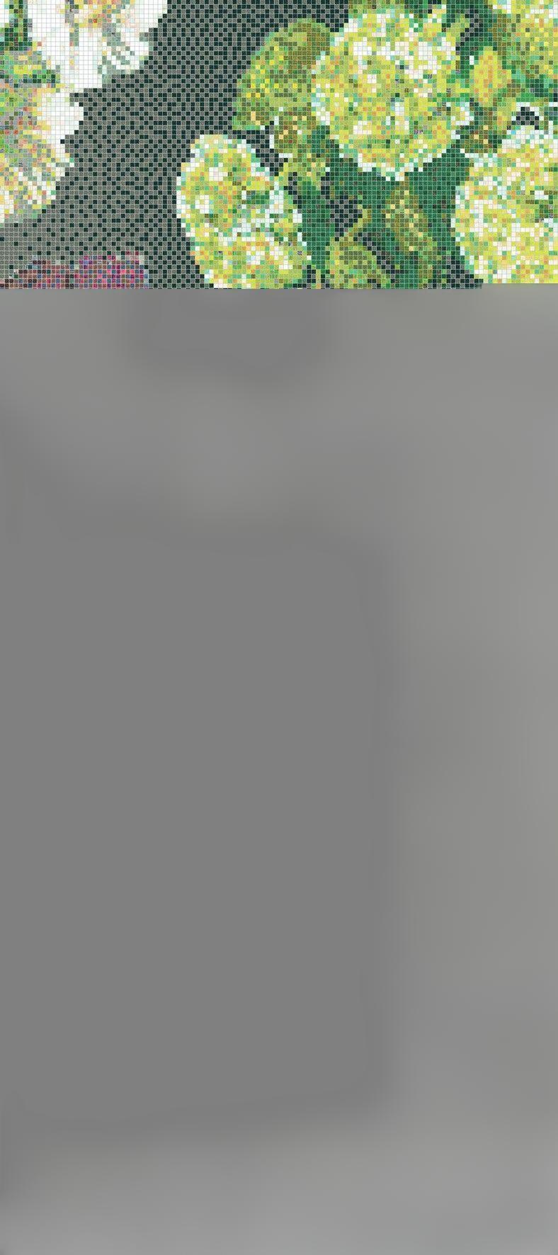 Bisazza Dekor Alexandria 129,1x290,5 cm