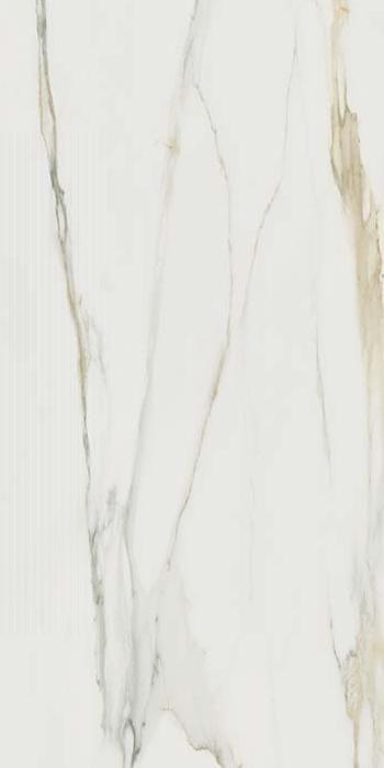 I Classici di Rex 30x60 cm Calacatta Gold glossy