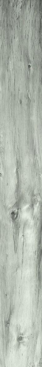 Emil Millelegni Grey Ash 15x120 cm naturale rettifiziert
