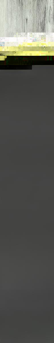 Emil Millelegni Grey Ash 20x120 cm naturale rettifiziert