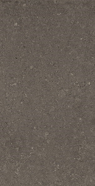 Emil MaPierre Noir Noble 30x60 cm Feinsteinzeug naturale