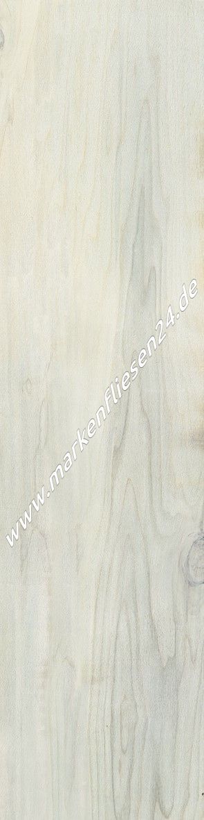Emil Millelegni 001 White Toulipier 30x120 cm naturale rettifiziert