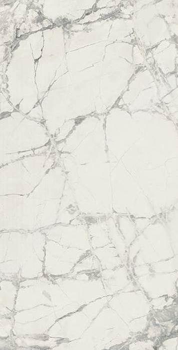 Prexious of Rex 60x120 cm Mountain Treasure matte