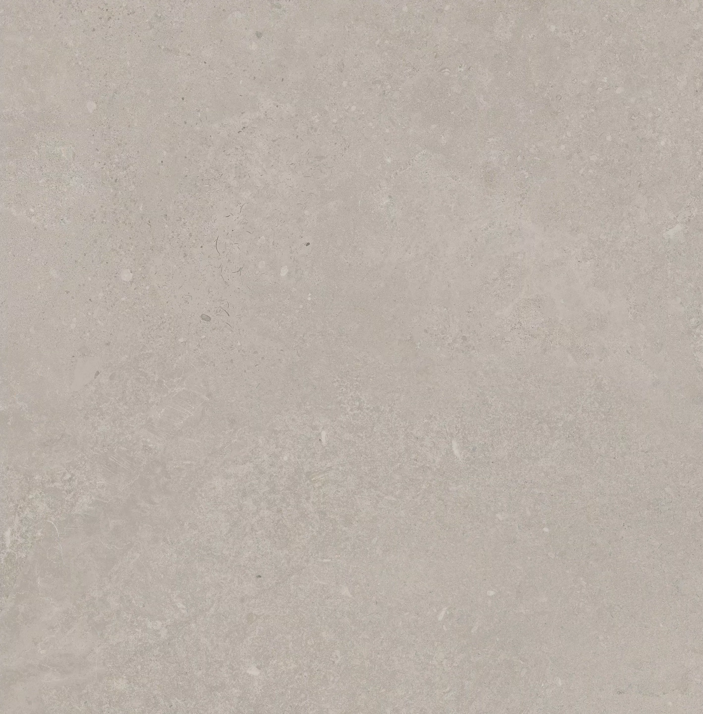 Florim Elemental Stone Grey Limestone Matte 120x120x0,9 cm Feinsteinzeug R10 