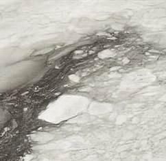 Étoile de Rex 80x80 cm Étoile renoir glossy