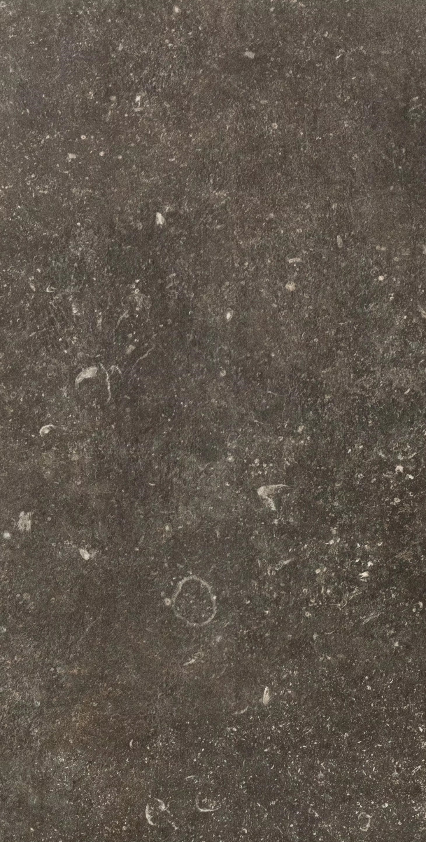 Florim Atmosphères Désir 30x60x0,9 cm Feinsteinzeug Matte R10        
