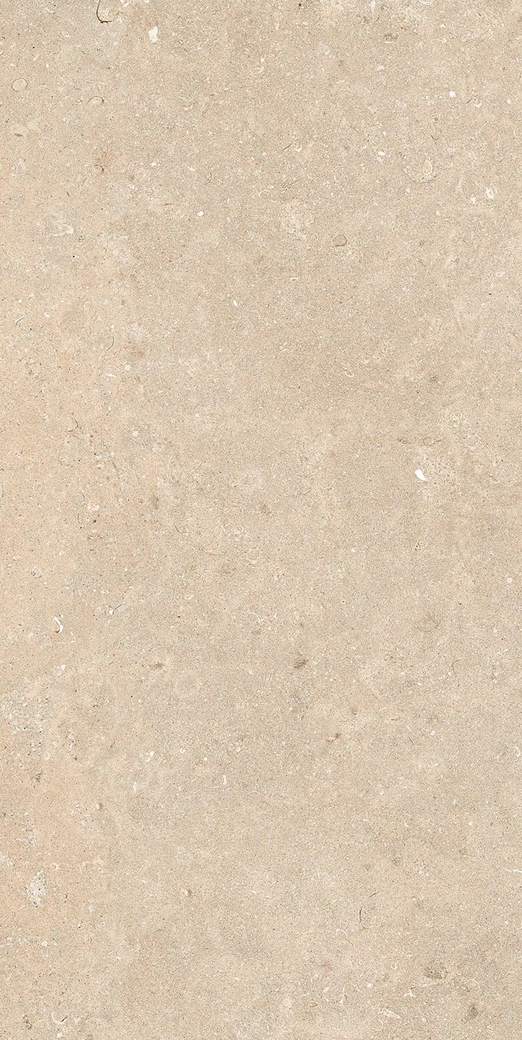 Florim Authentic Luxe Stone Dordogne 60X120x0,6 cm Magnum Feinsteinzeug Matte Leather 
