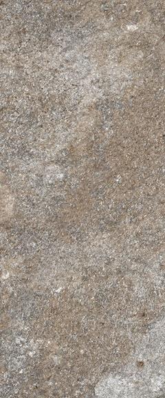 Emil Externa Quarzite 20x40 cm Rust Grey naturale R11C