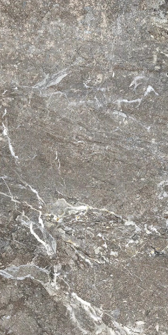 Florim Onyx&More Silver Porphyry 60x120x0,6 cm Magnum Feinsteinzeug Matte R10    