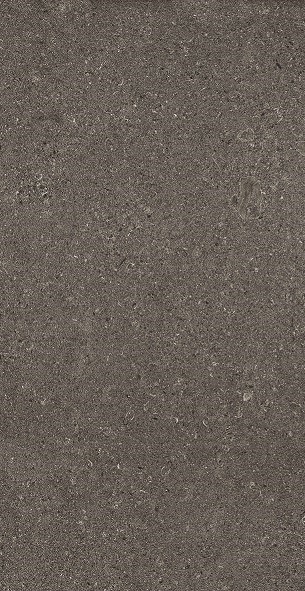 Emil MaPierre Noir Noble 60x120 cm Feinsteinzeug naturale