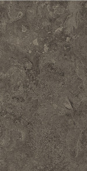 Emil MaPierre Noir Ancienne 30x60 cm Feinsteinzeug naturale