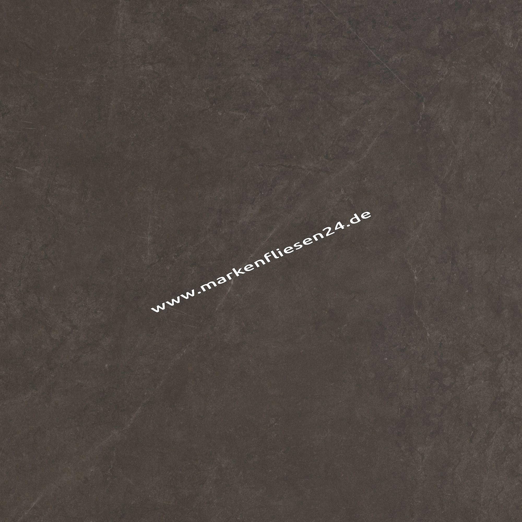 Kerlite 5plus "Exedra" Amadeus Glossy 100x100x0,55 cm