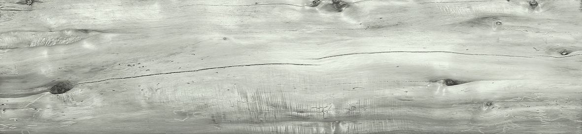 Emil Millelegni Grey Ash 20x120 cm naturale rettifiziert 