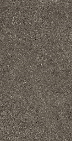 Emil MaPierre Noir Noble 60x120 cm Feinsteinzeug naturale