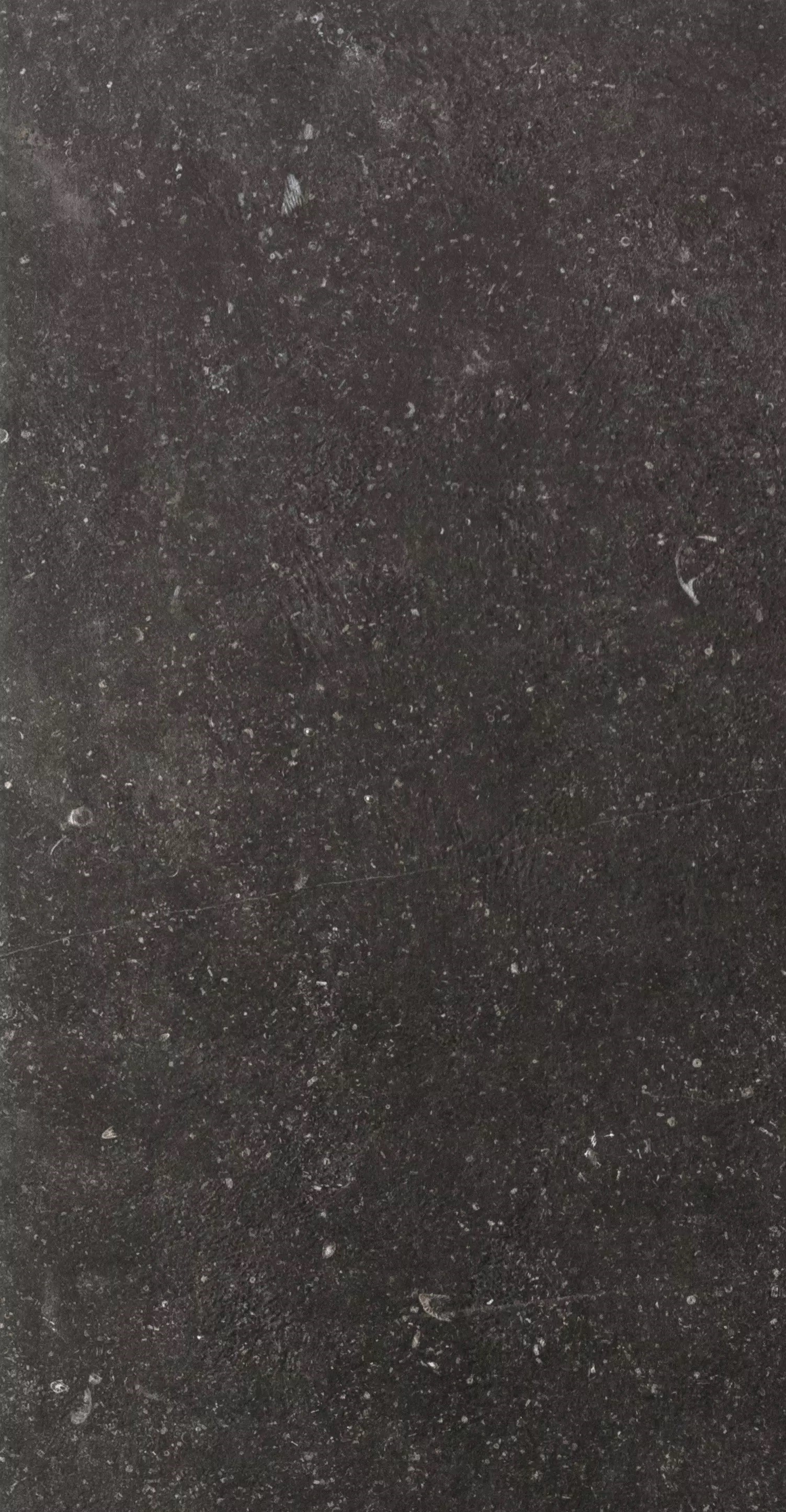 Florim Atmosphères Mystère 30x60x0,9 cm Feinsteinzeug Matte R10          