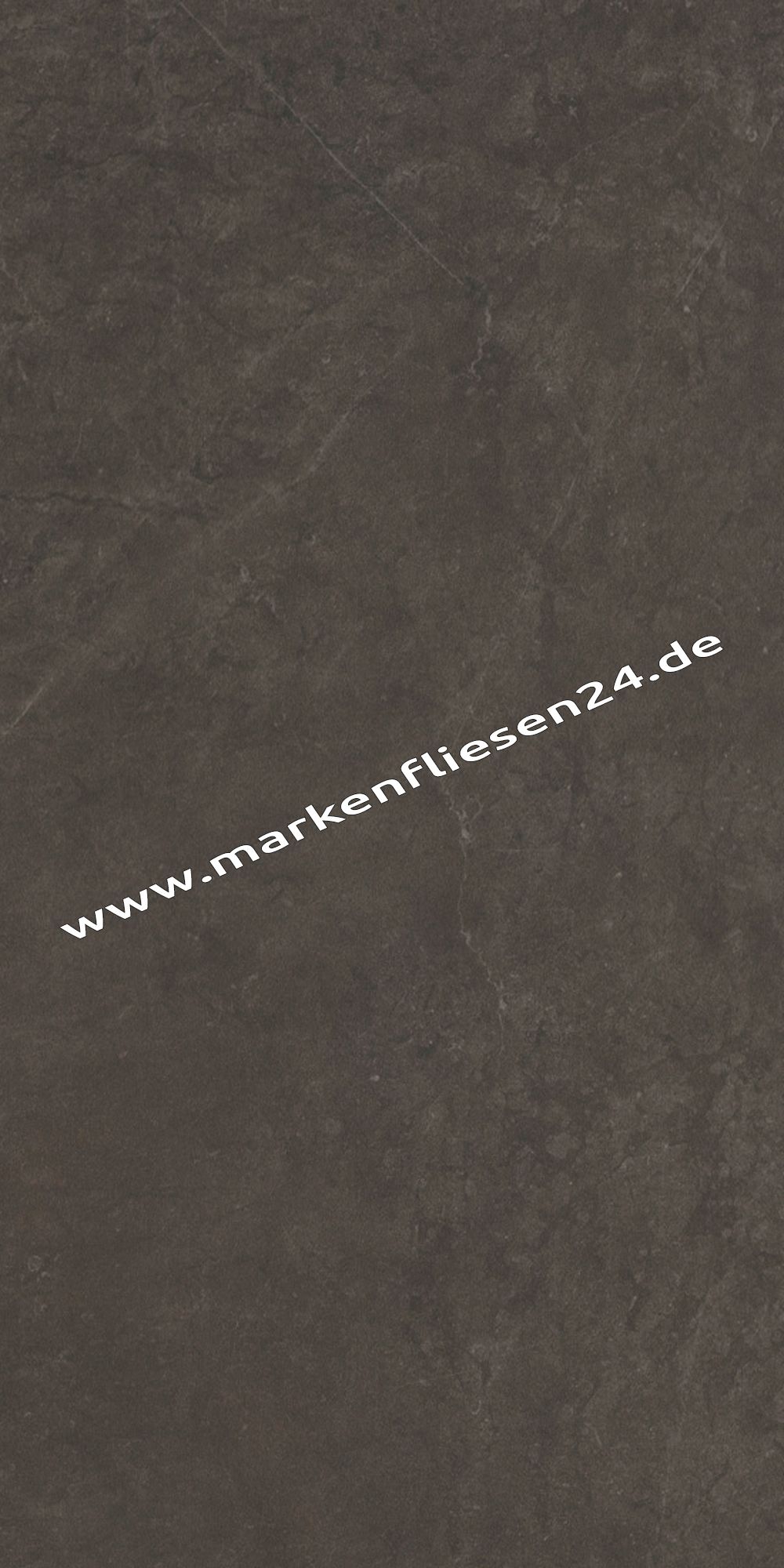 Kerlite 5plus "Exedra" Amadeus Silk 50x100x0,55 cm