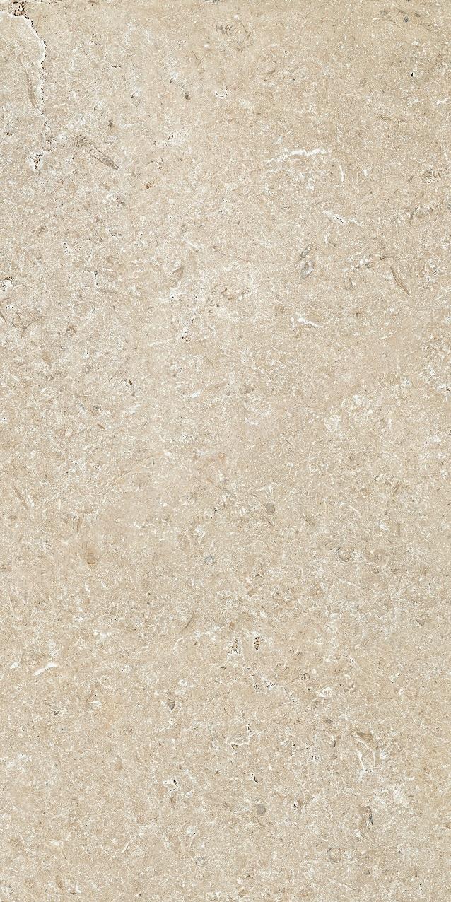 Cotto d`Este Secret Stone 60x120 cm Precious beige honed rett.