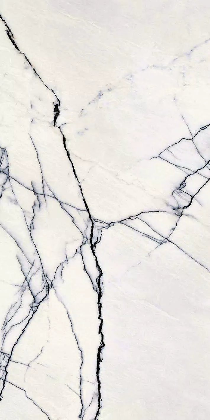 Florim B&W_Marble Breach Matte 60x120x0,6 cm Feinsteinzeug R9 Magnum 