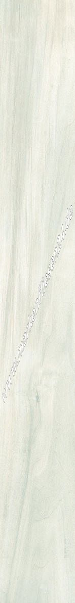 Emil Millelegni 001 White Toulipier 15x120 cm naturale rettifiziert