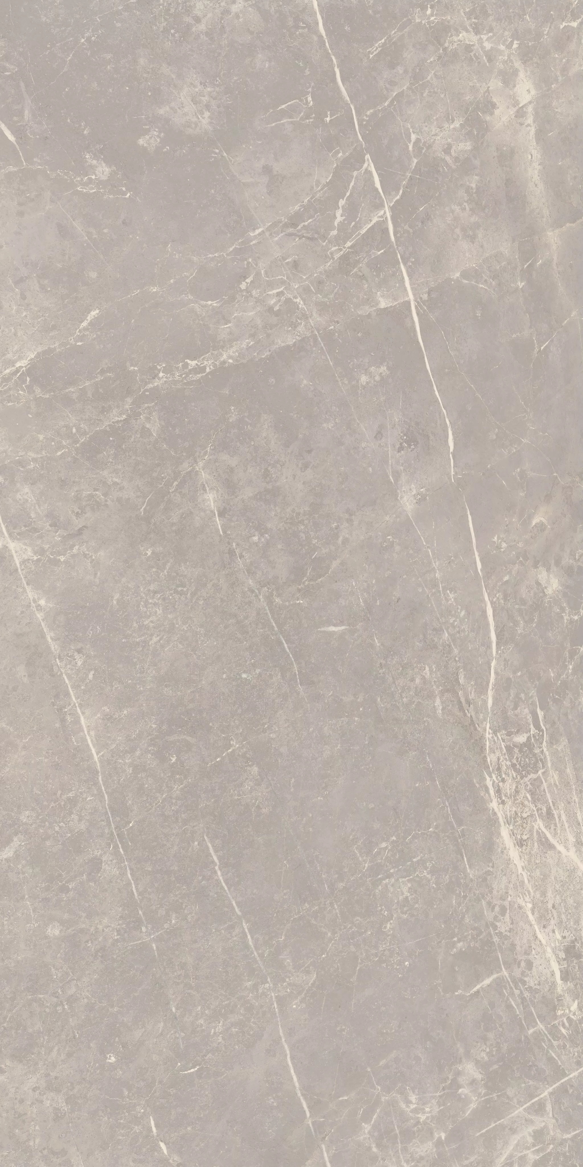 Florim Elemental Stone Grey Dolomia Glossy 60x120x0,9 cm Feinsteinzeug 