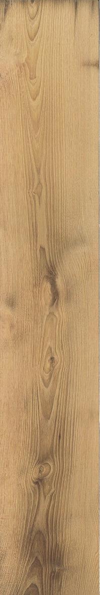 Emil 20Twenty 20x120 cm Tronco rekt. R10B