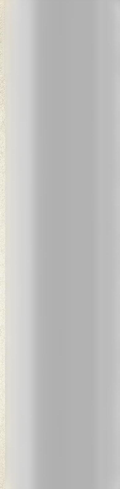 Floorgres Industrial Ivory 20x80 cm soft RT