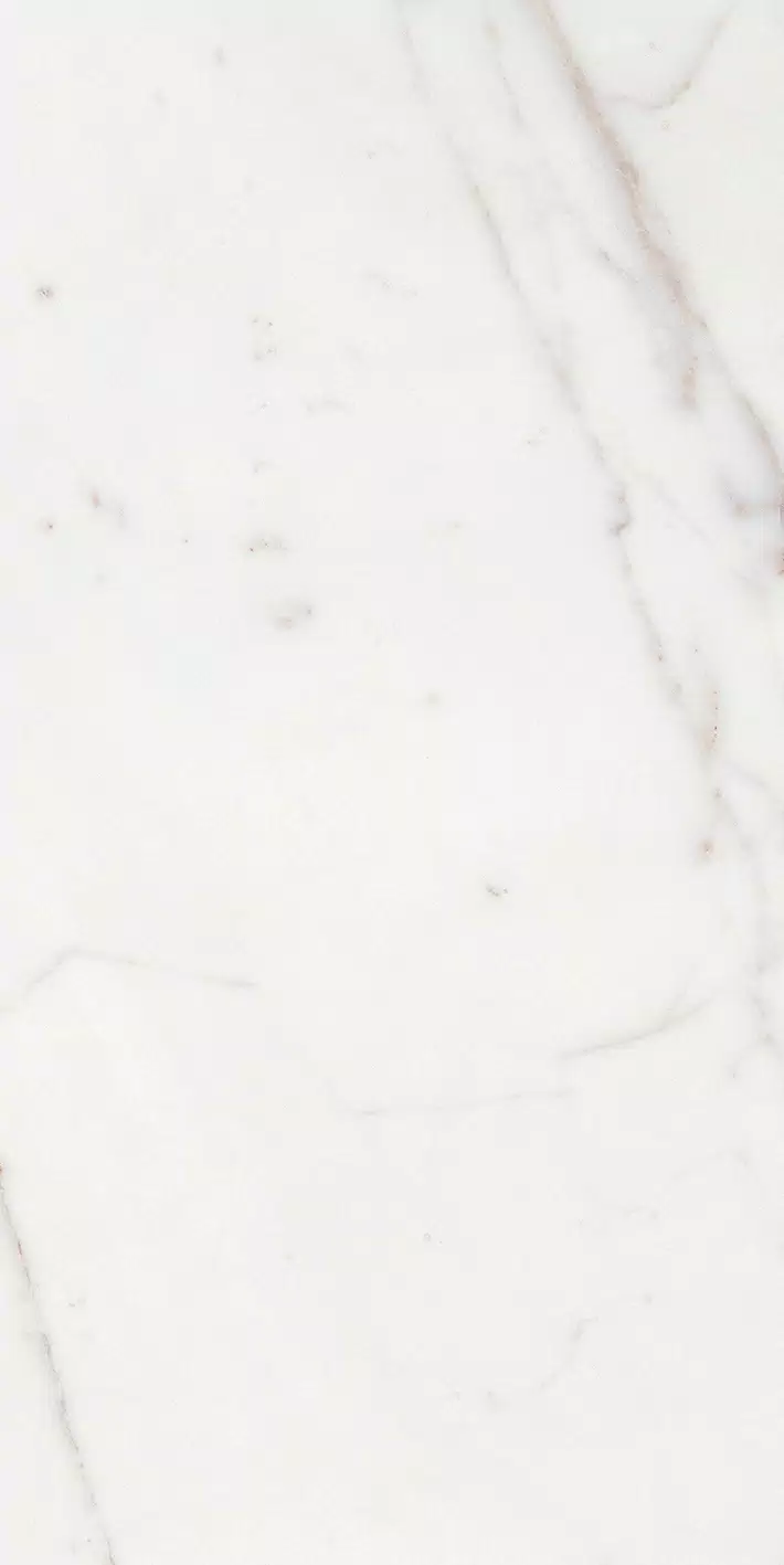 Florim Les Origines Origines Argent 60x120x0,6 cm Feinsteinzeug Matte Magnum