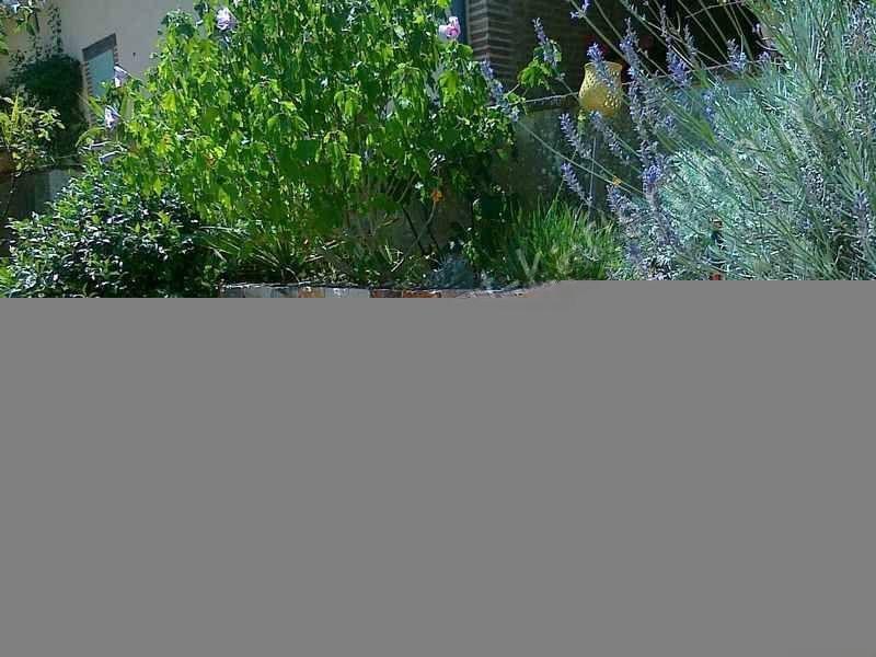 Naturstein Verblender Natur-7 20x50 cm