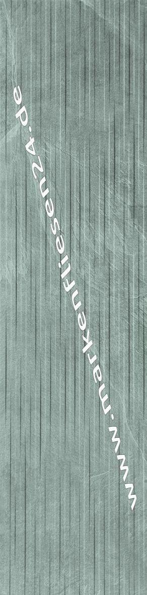 Ergon Cornerstone Slate Grey 30x120 cm Parallelo