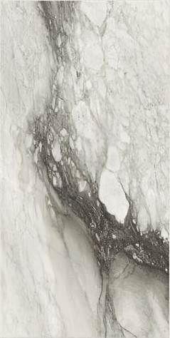 Étoile de Rex 40x80 cm Étoile renoir glossy