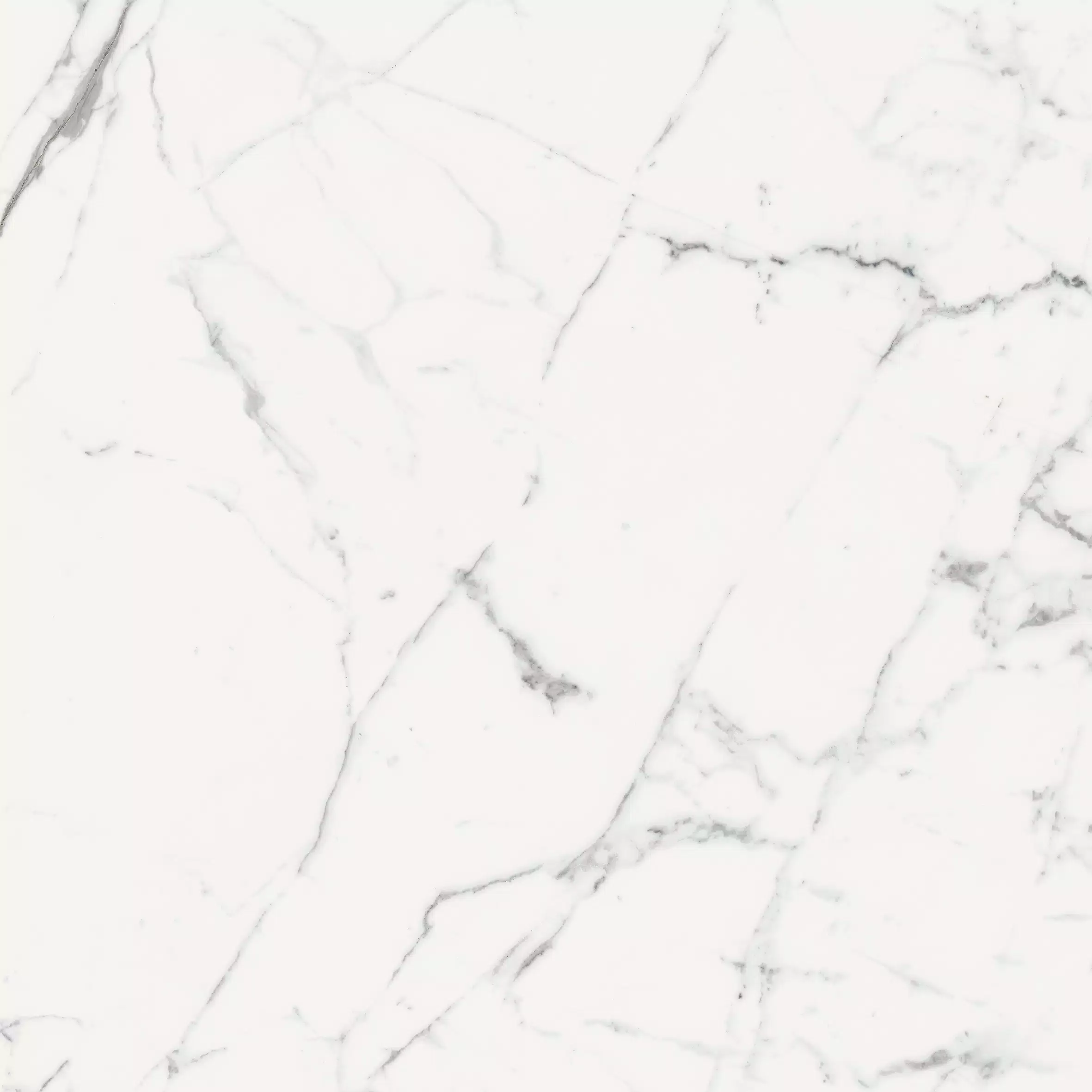 Florim Les Origines Origines Blanc Glossy 120x120x0,6 cm Feinsteinzeug Magnum