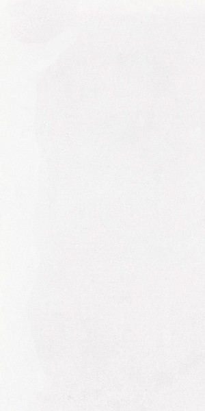 Ergon Medley White Minimal 30x60 cm Nat. Ret. R10B