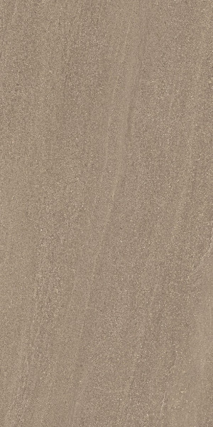 Ergon Elegance Pro taupe 30x60 cm Feinsteinzeug rektifiziert