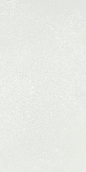 Ergon Medley White Minimal Tecnica 60x120 cm Nat. Ret. R11C