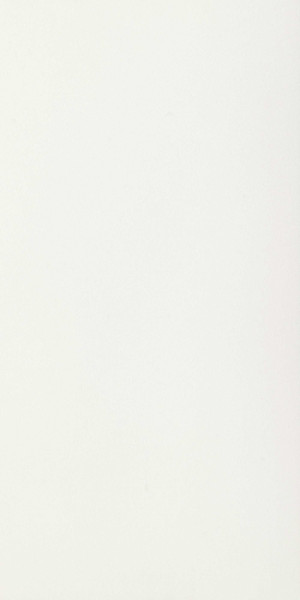 Floorgres B&W Marble White 60x120 cm naturale RT