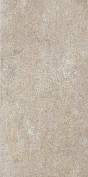 Emil Anthology Stone Grey 30x60 cm naturale rett. Art.63K38R