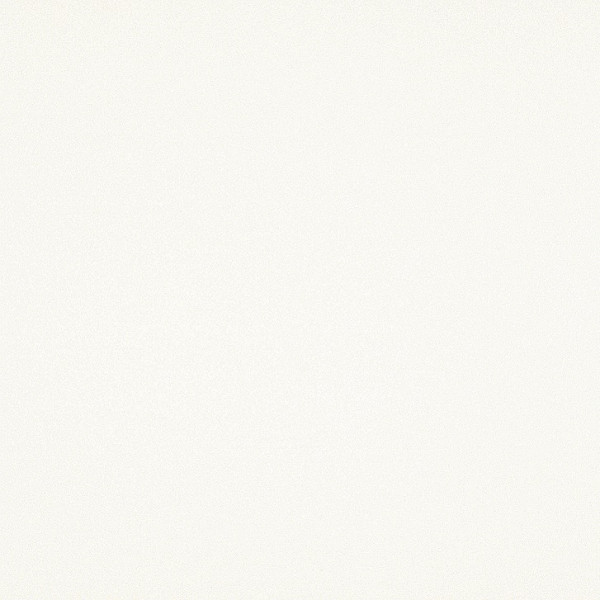 Kerlite 3plus "Black&White" 100x100x0,35 cm snow